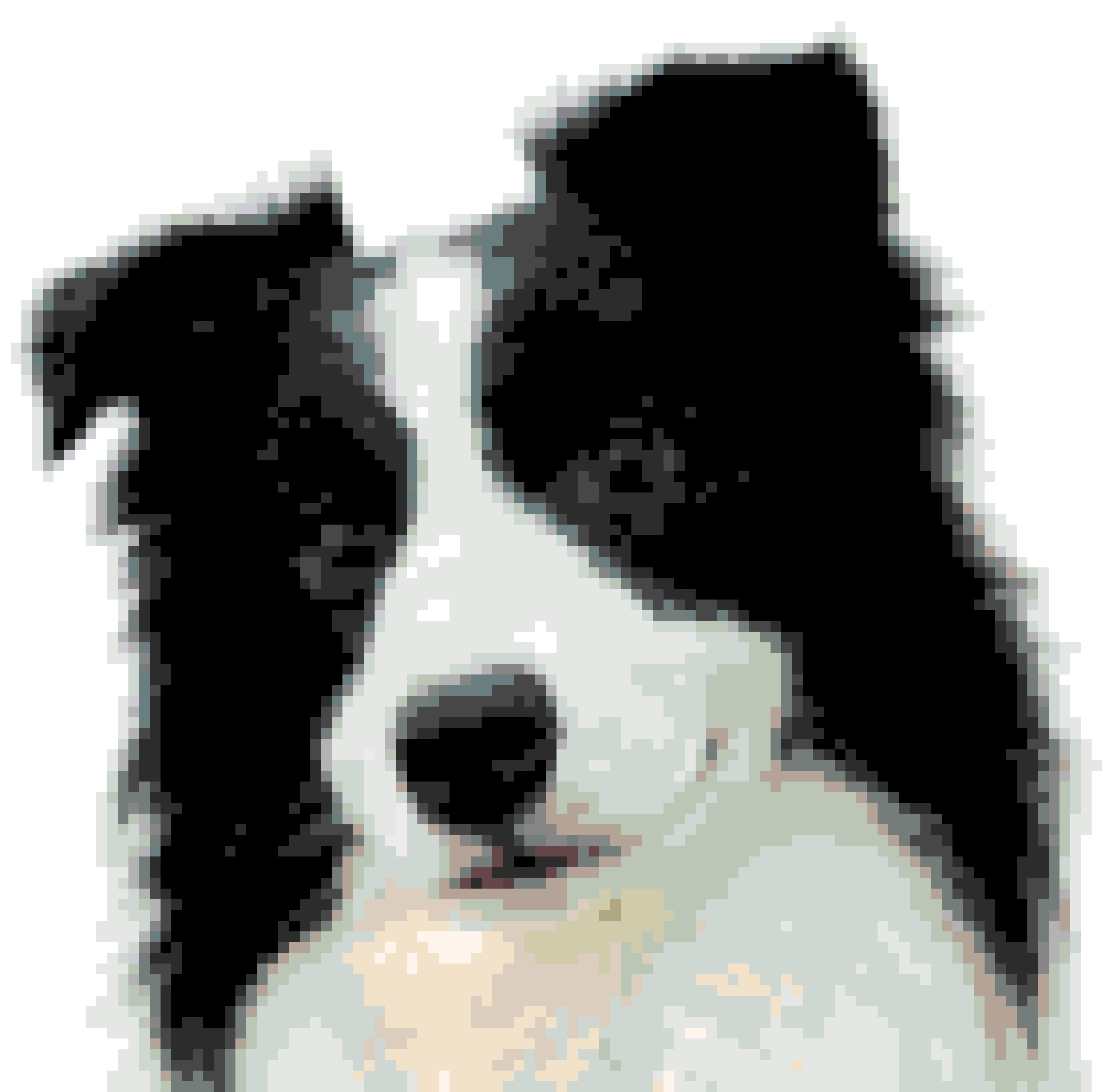 Border Collie 3 fuse bead pattern