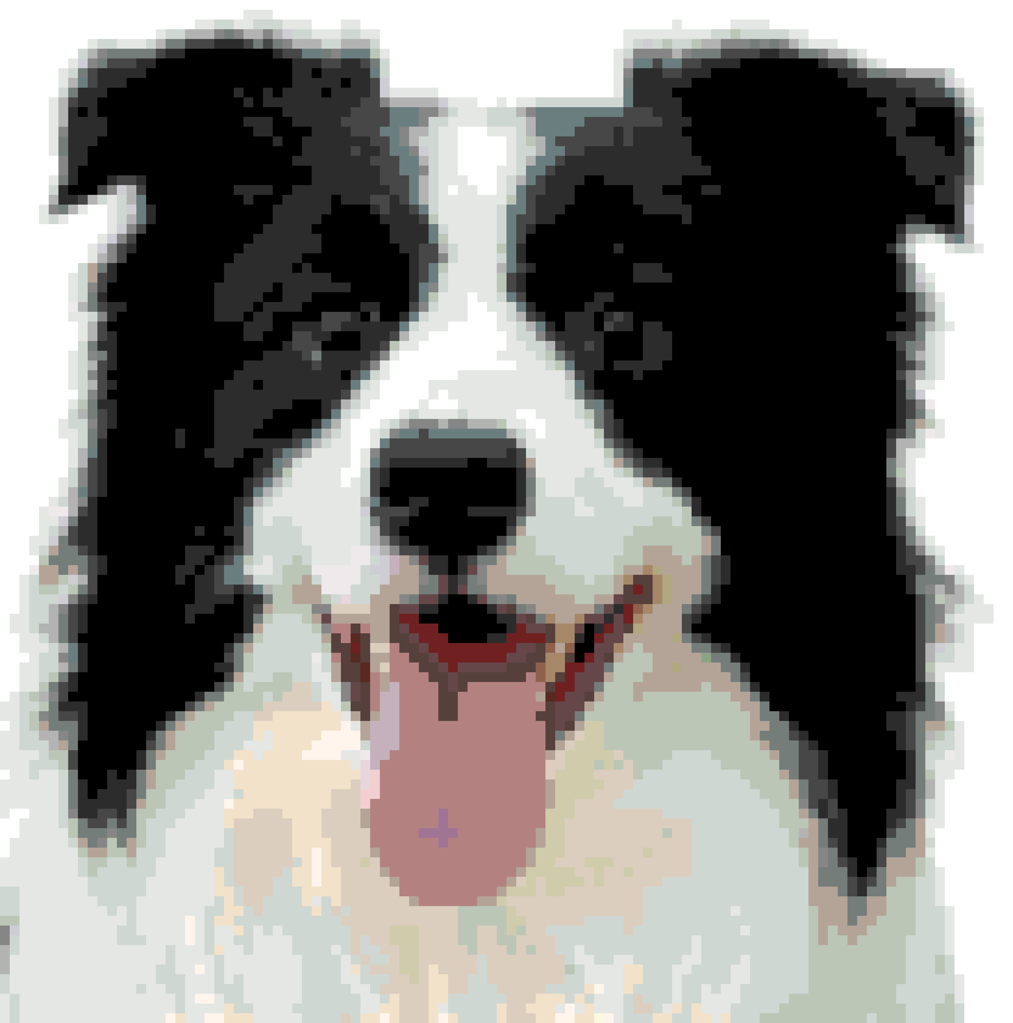 Border Collie 4 fuse bead pattern