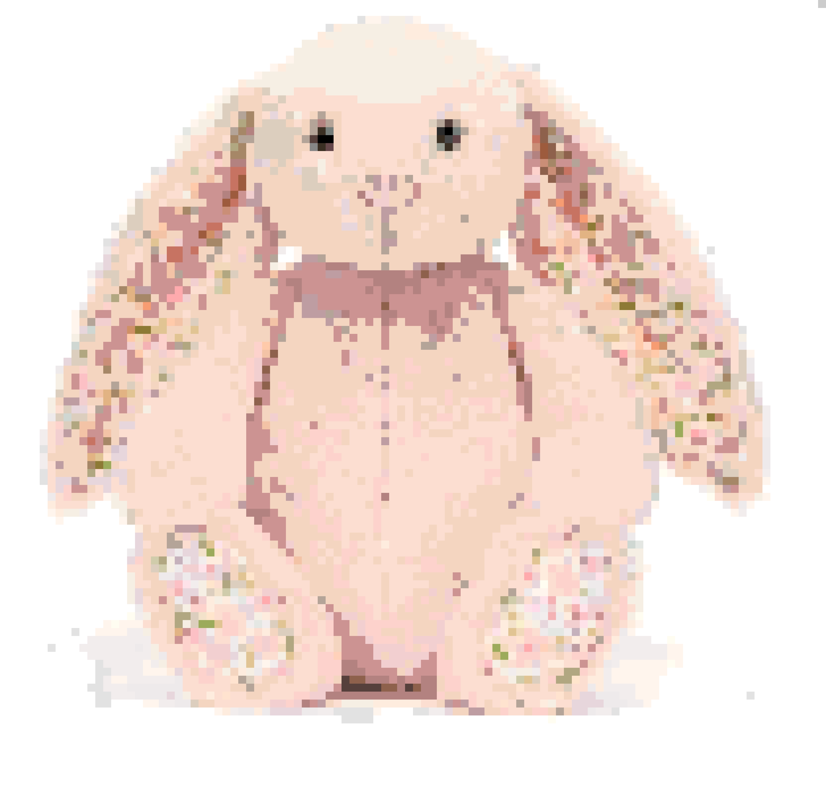 Bunny fuse bead pattern