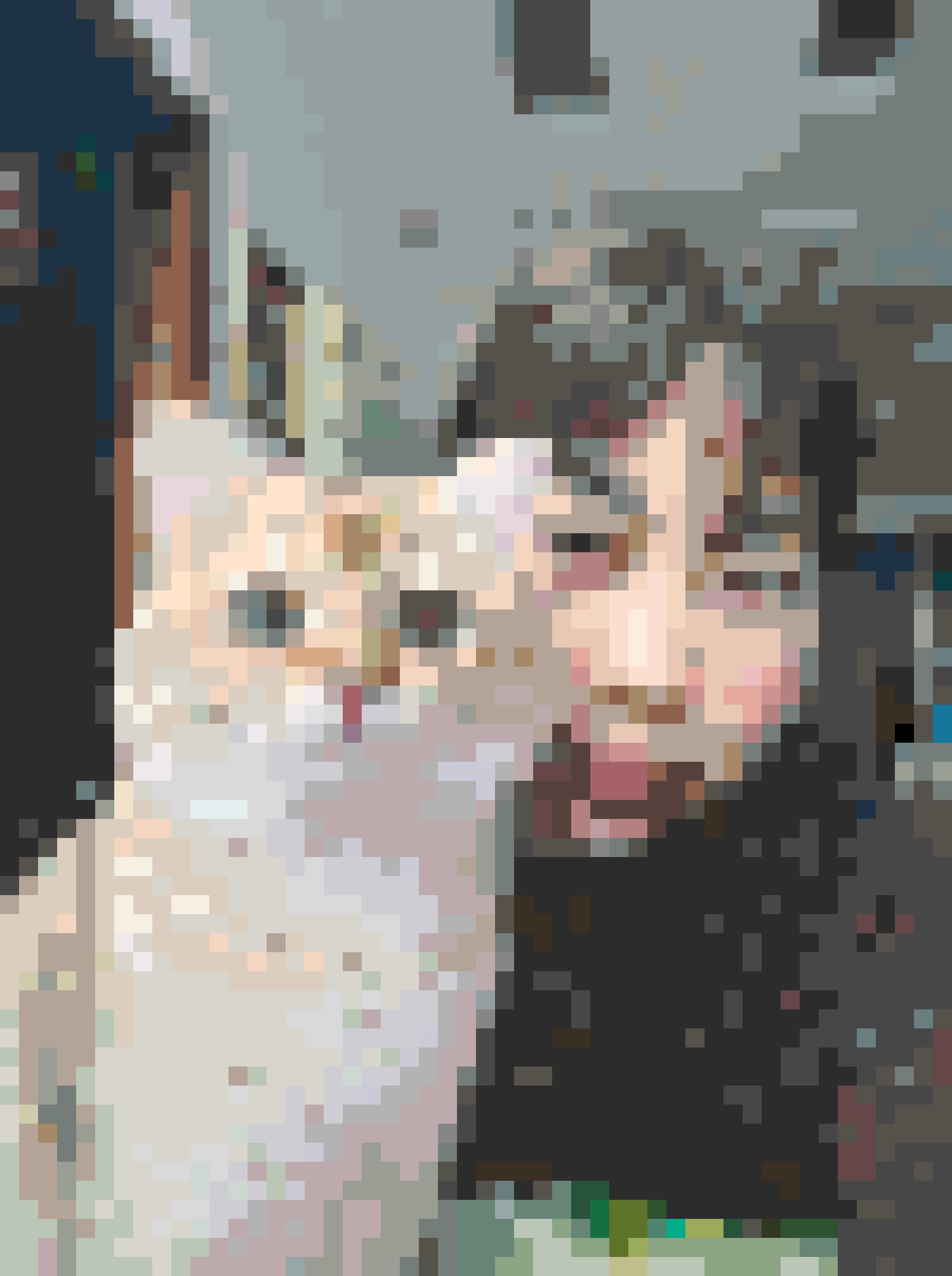 Cat fuse bead pattern