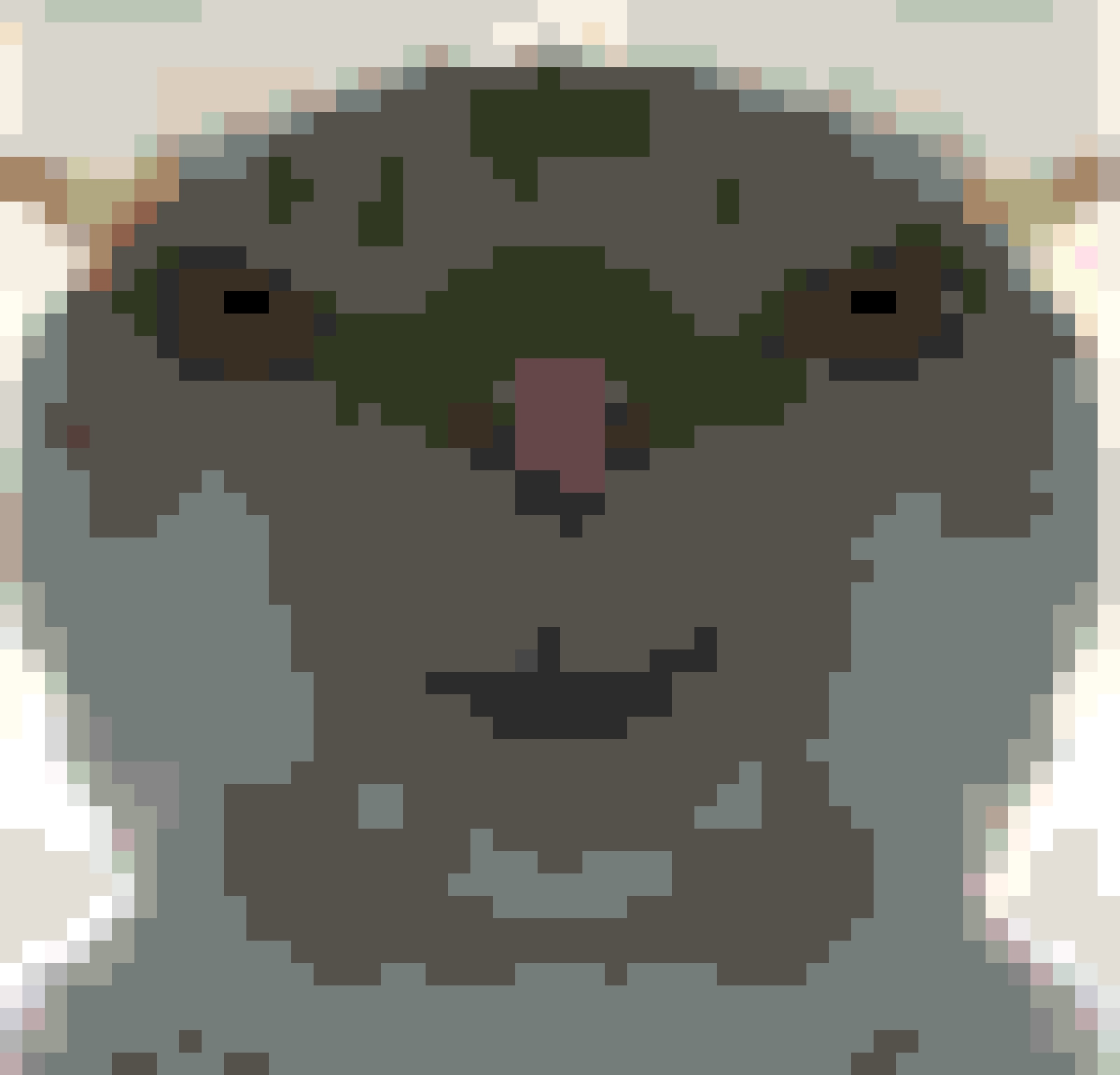 Cat fuse bead pattern