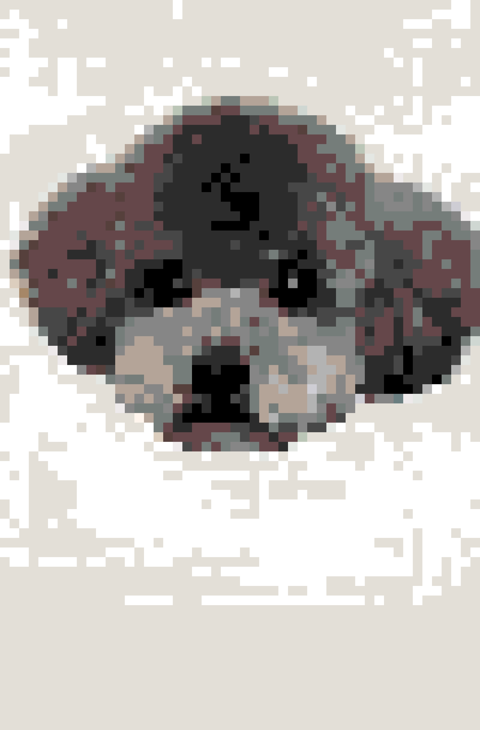 Cute Dog Two Bügelperlen-Muster - druckbares Diagramm mit Perlenmengen