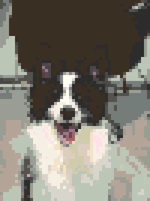 Cute Puppy 3 Motif de Perles à Repasser (Imprimable Gratuit)