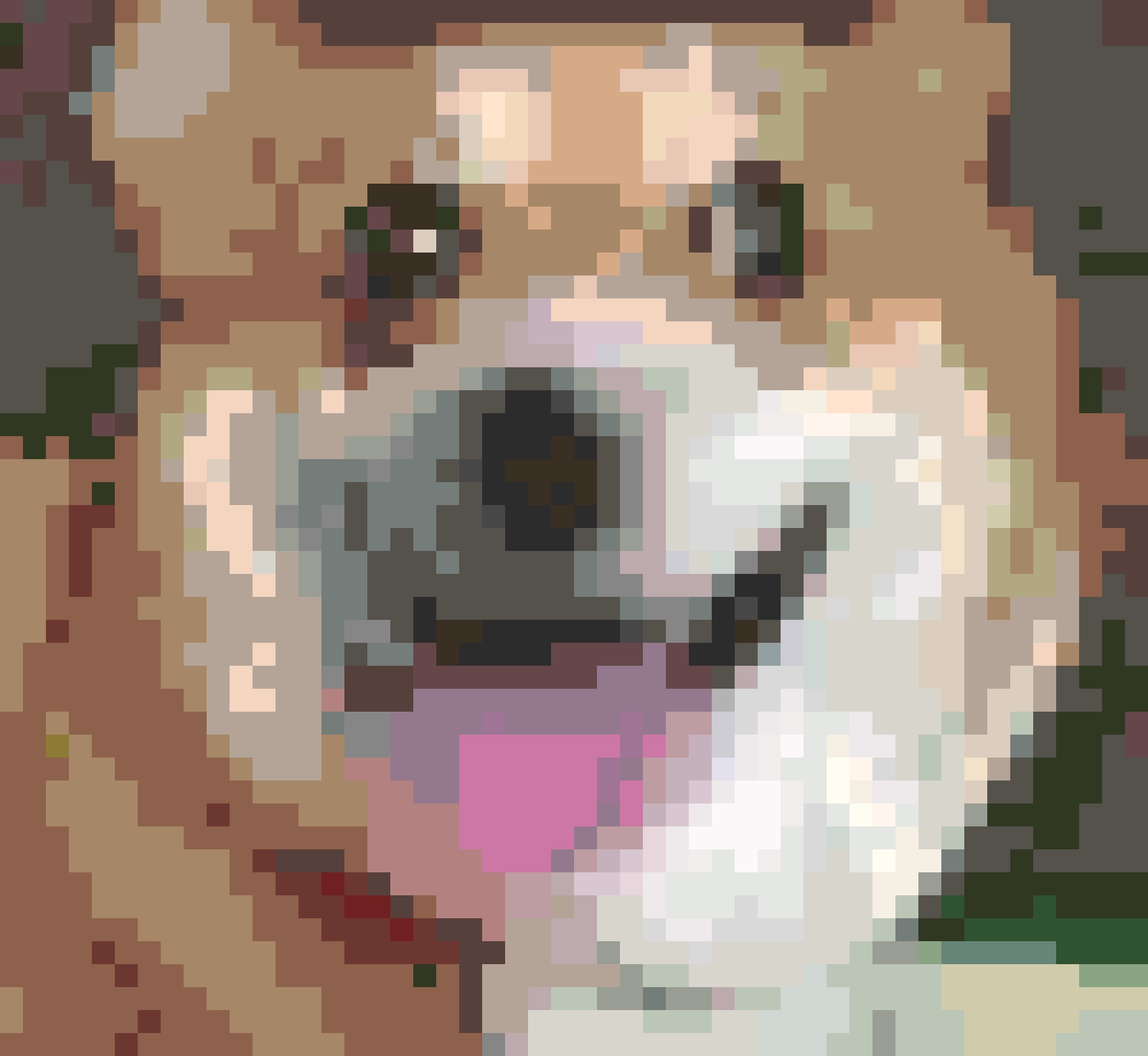 Dog fuse bead pattern