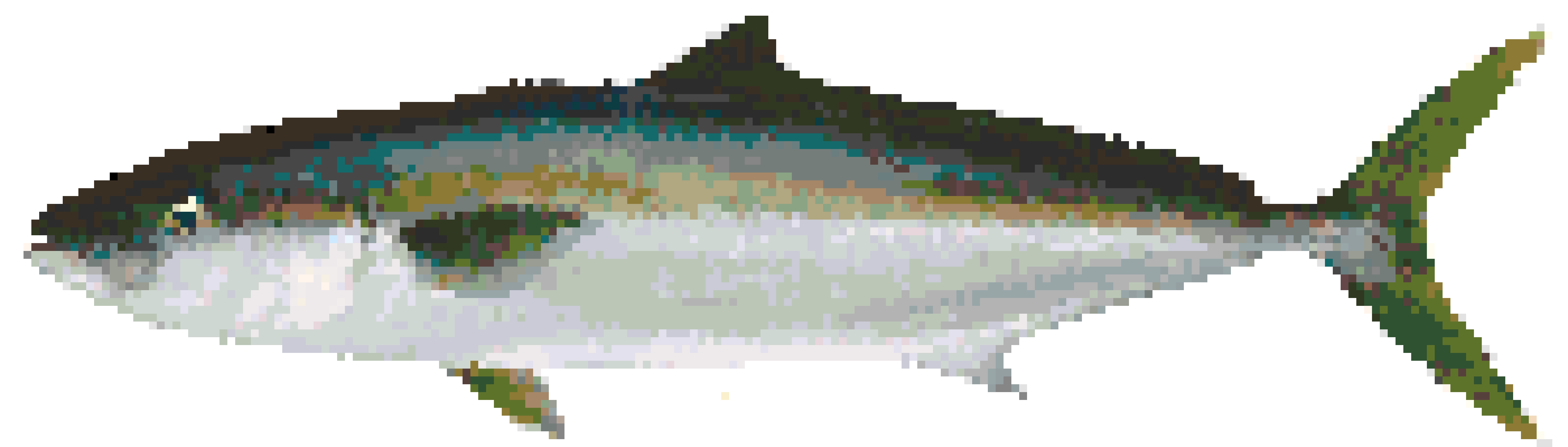Fish 3 fuse bead pattern
