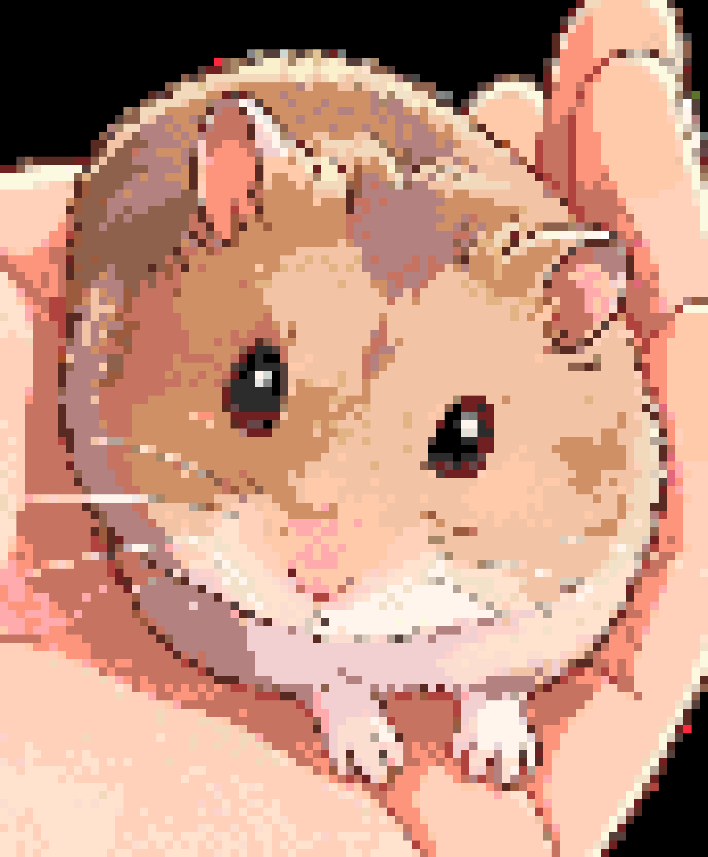 Hamster Bead Art fuse bead pattern