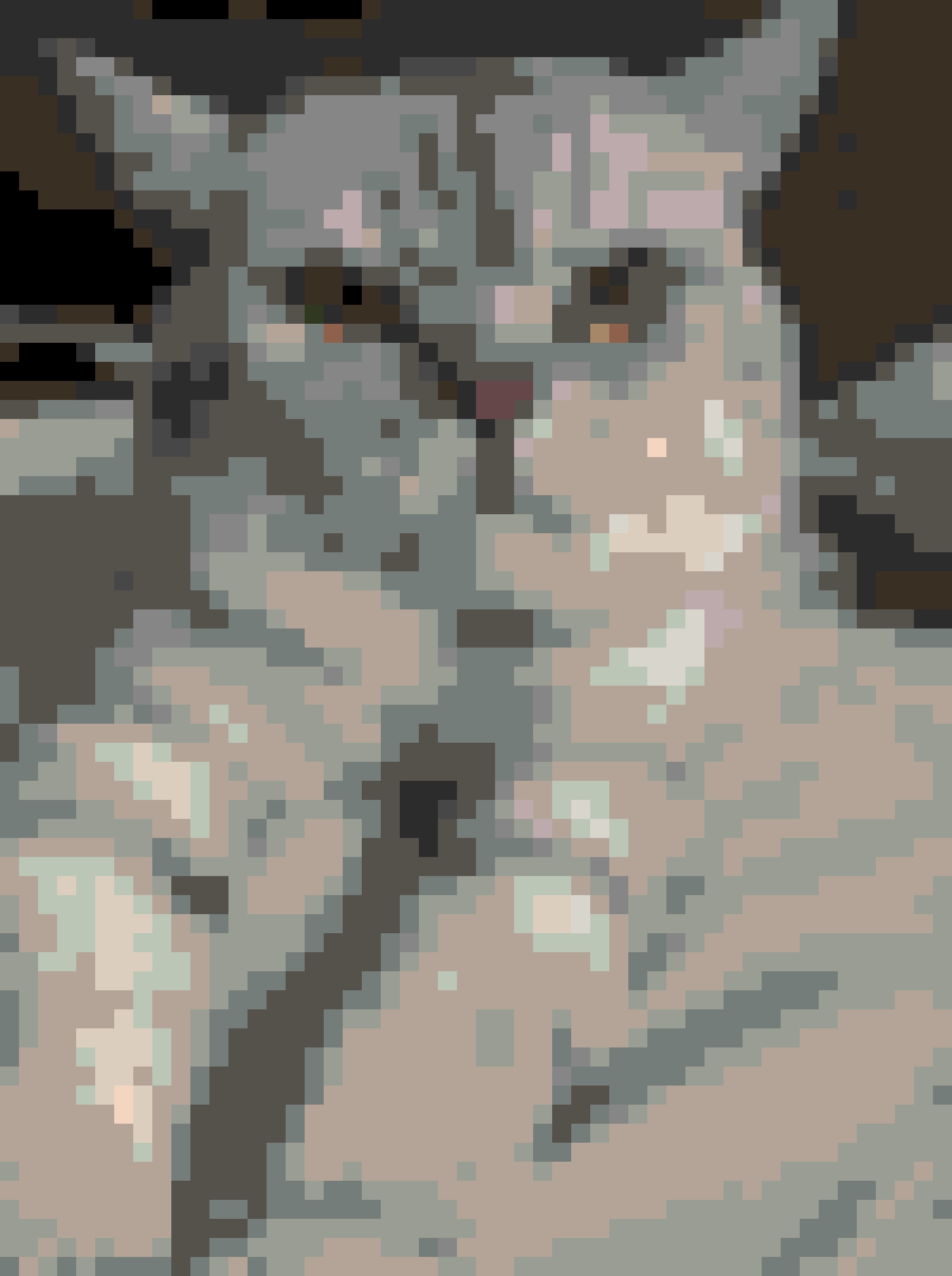 Huohuo fuse bead pattern