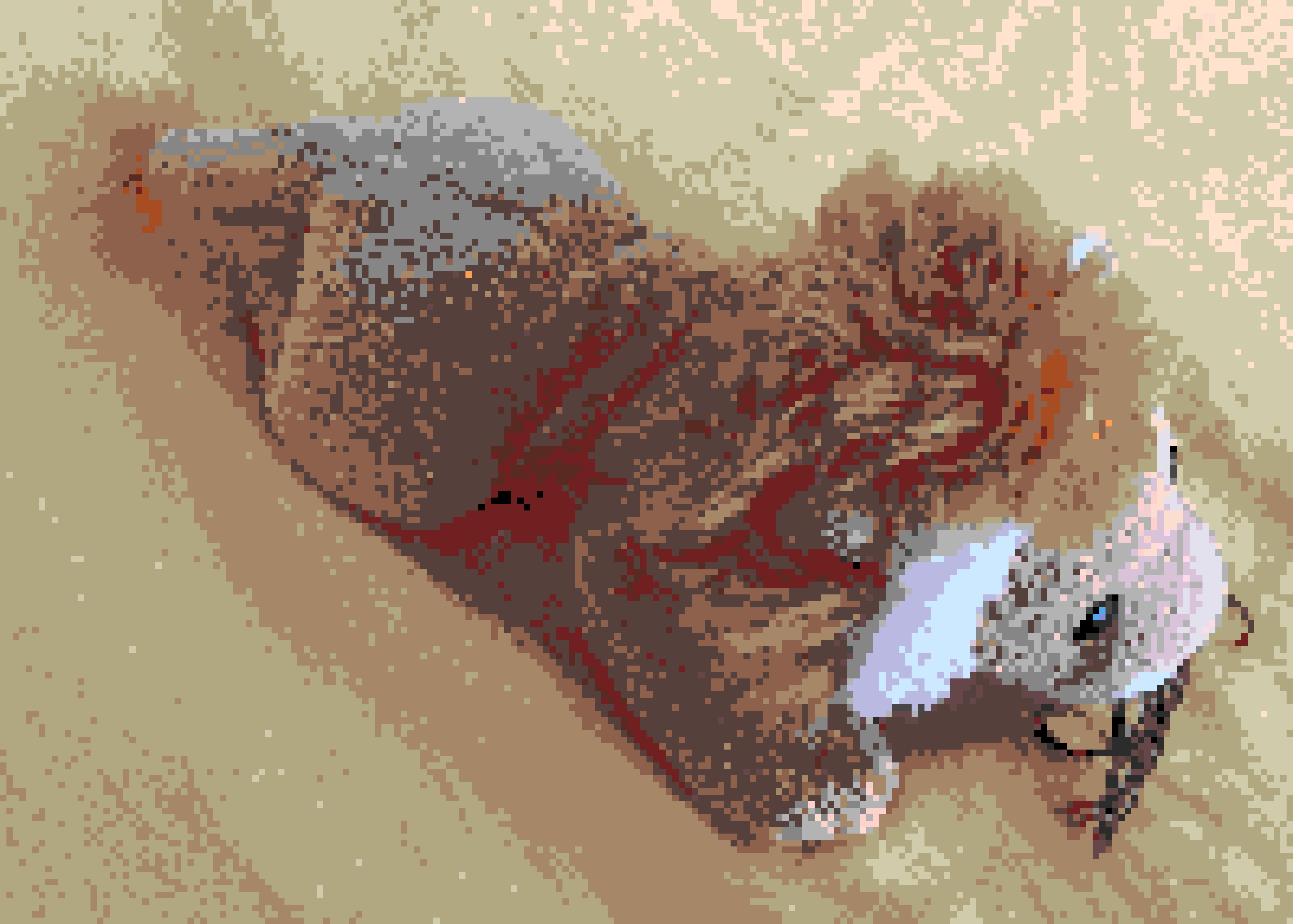 Lion fuse bead pattern