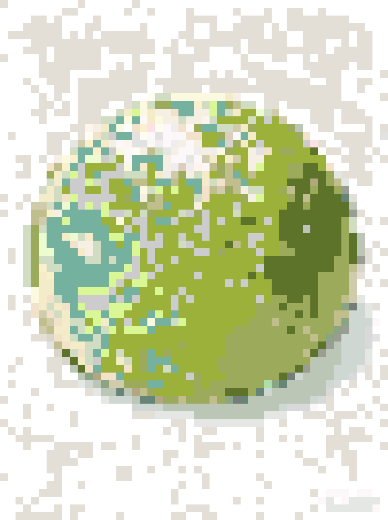 Matcha Mochi fuse bead pattern