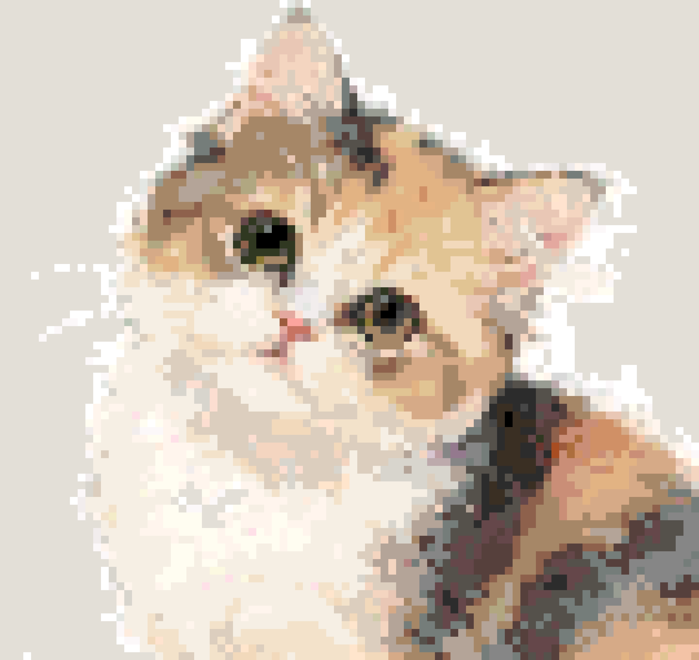 Mochi 2 fuse bead pattern
