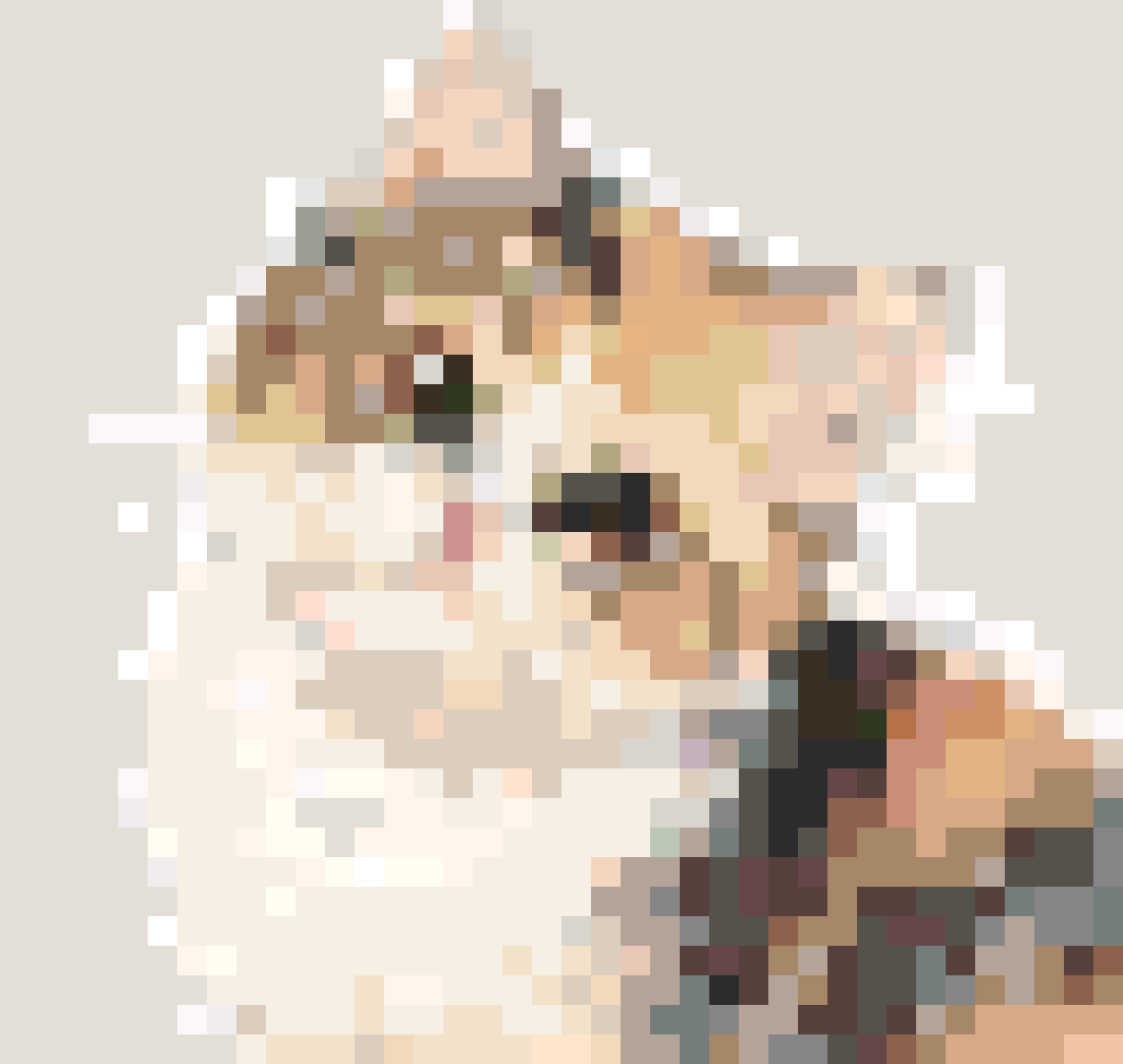 Mochi fuse bead pattern