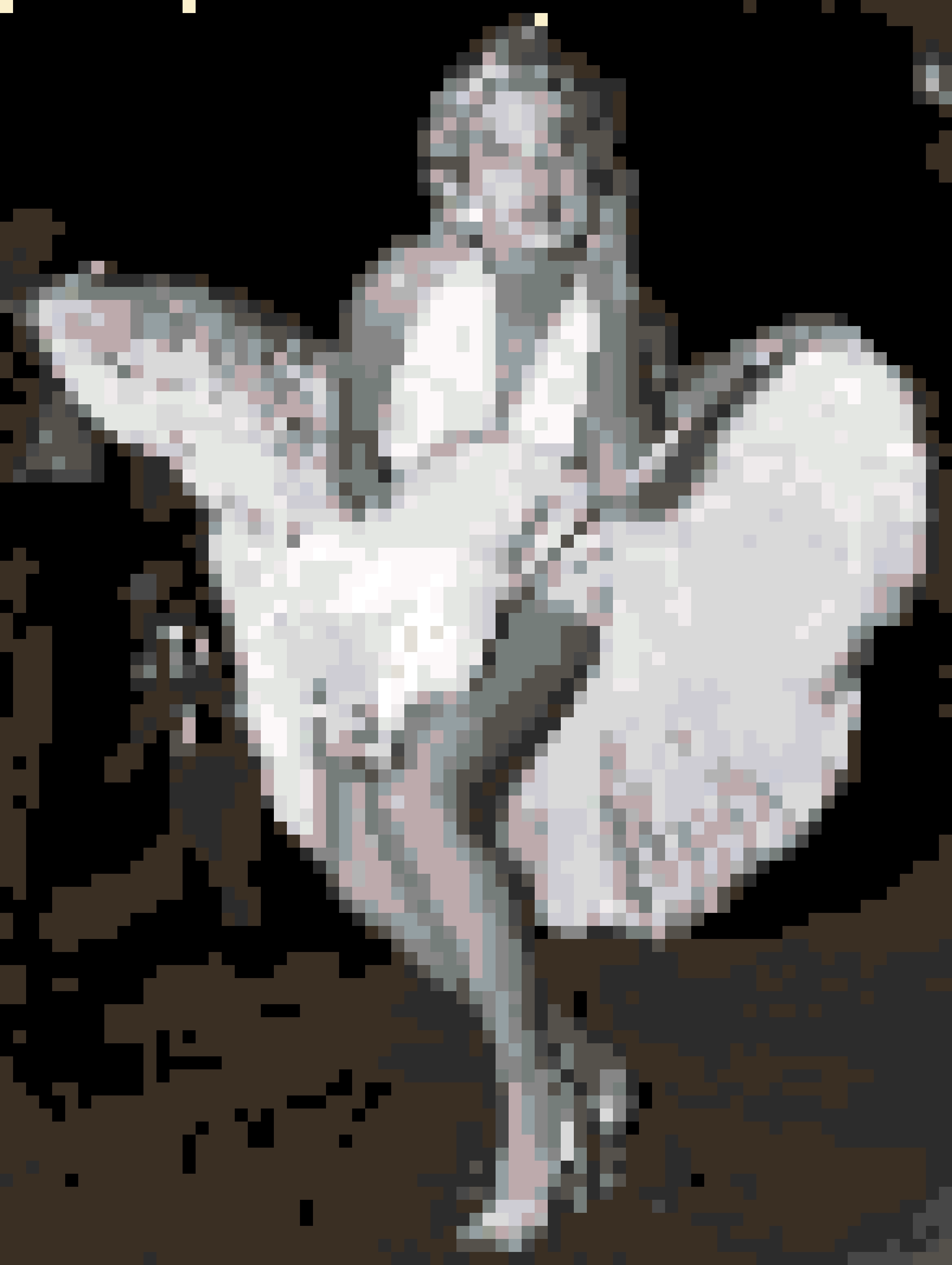 Monroe fuse bead pattern