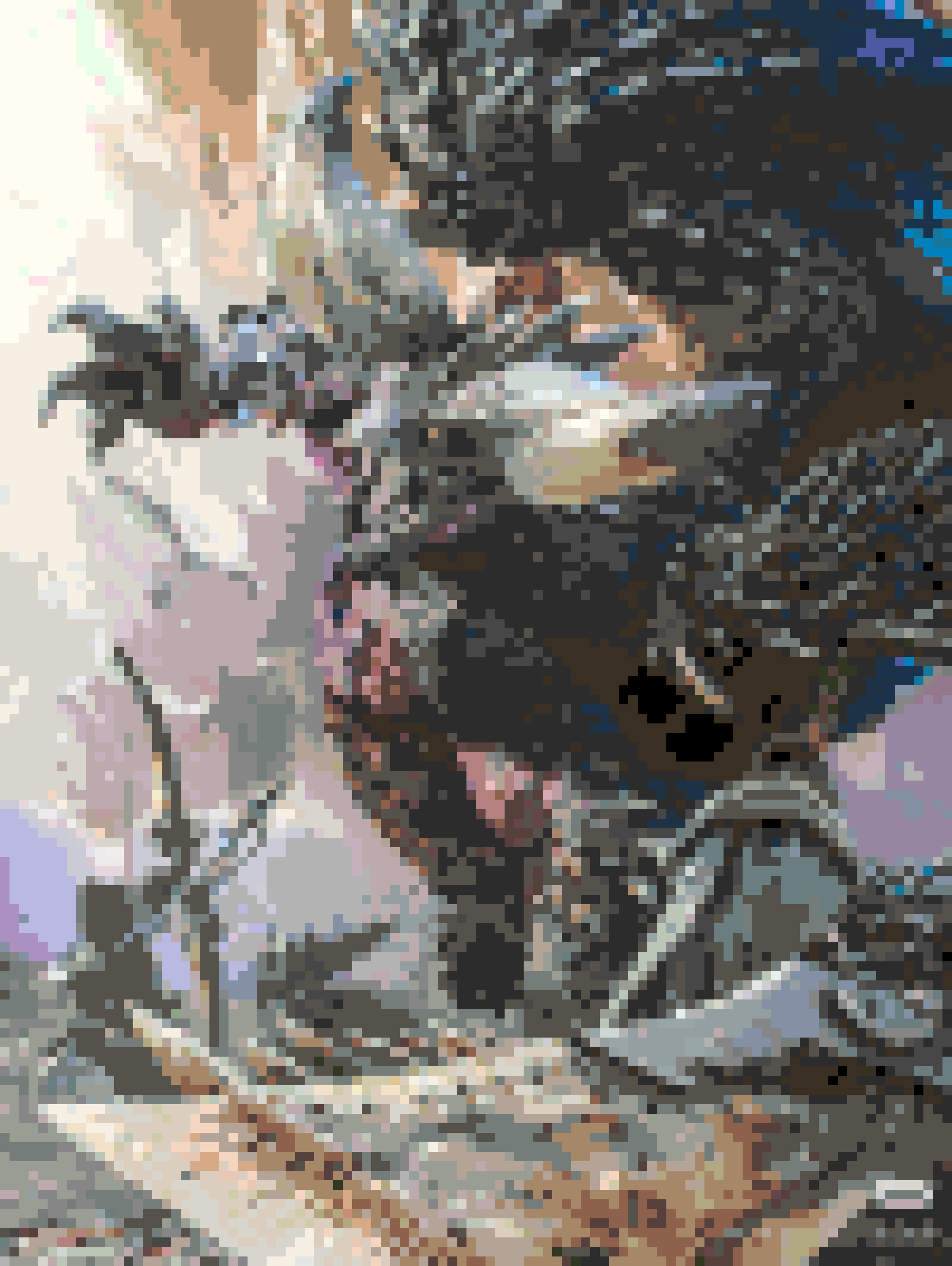 Monster Hunter fuse bead pattern