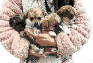 My Puppies Motif de Perles à Repasser (Imprimable Gratuit)