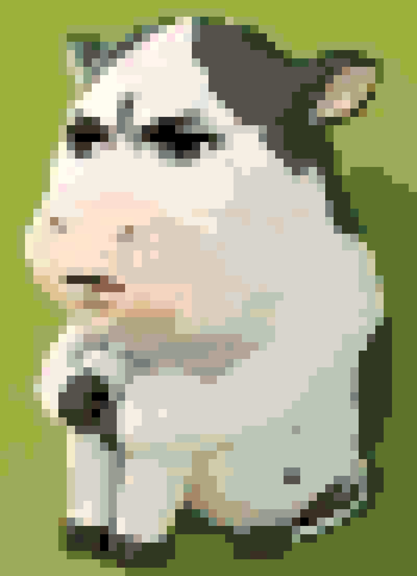 Ox fuse bead pattern