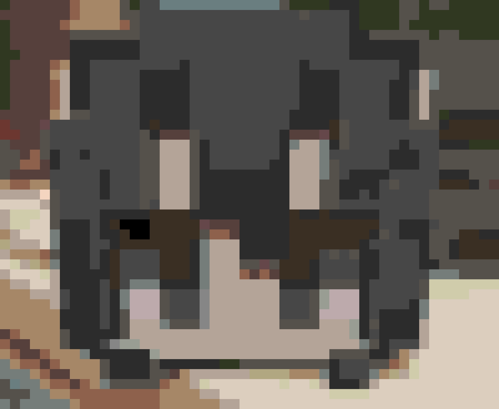 Pixel fuse bead pattern