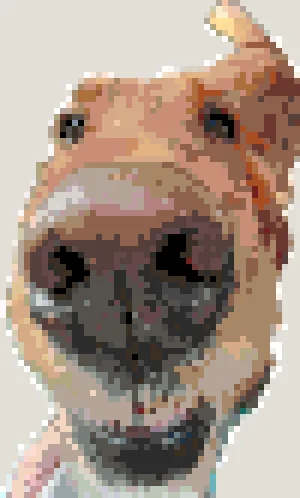 Potato Padrão de Contas de Fusão (Imprimível Grátis)