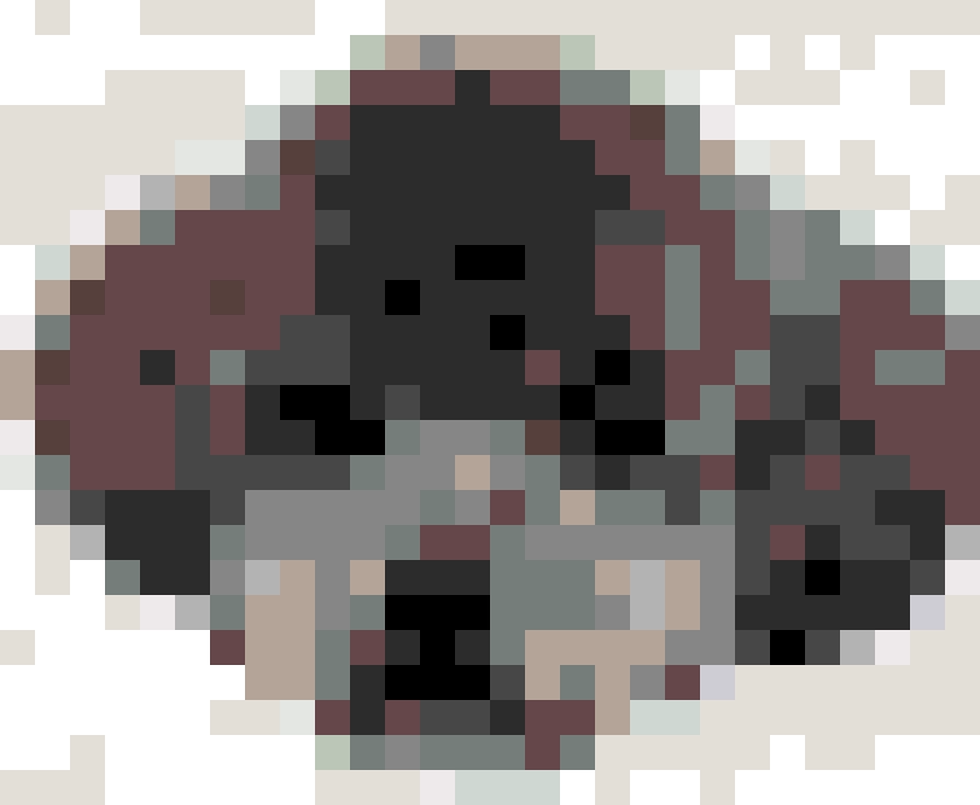 Puppy 2 fuse bead pattern