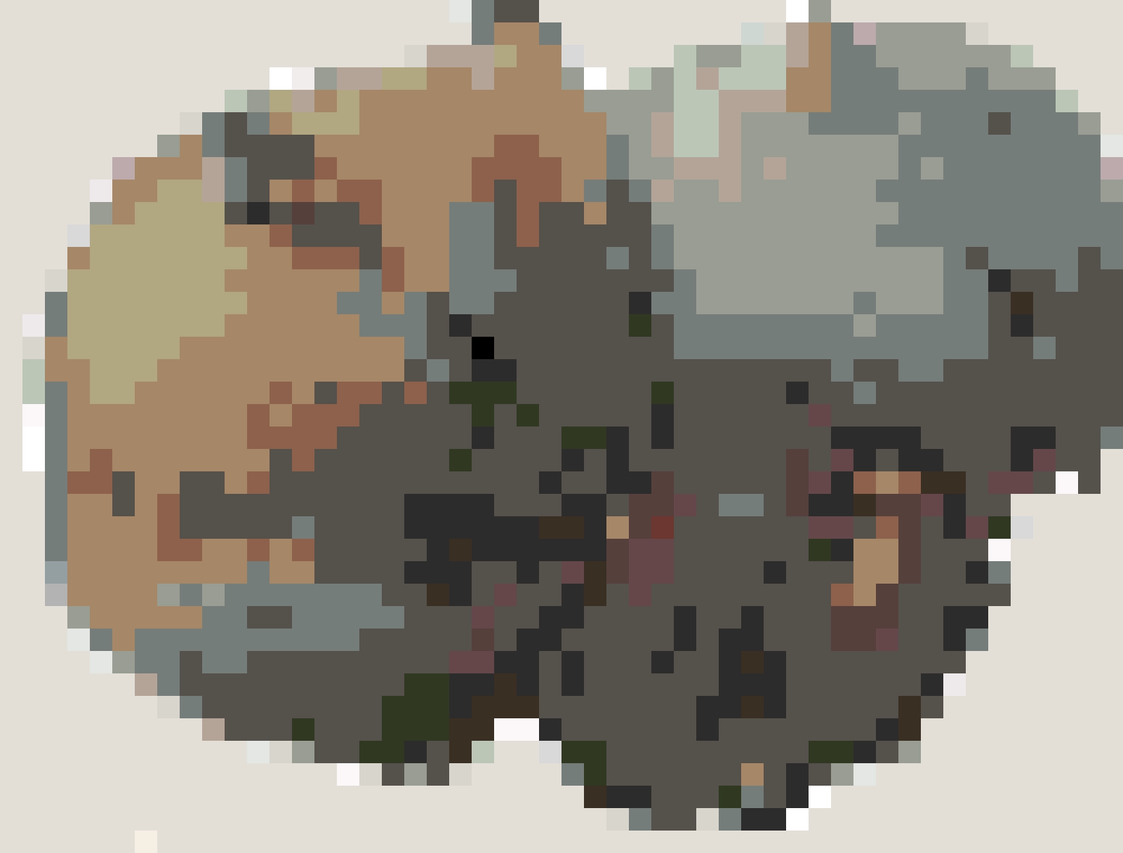 Rat fuse bead pattern