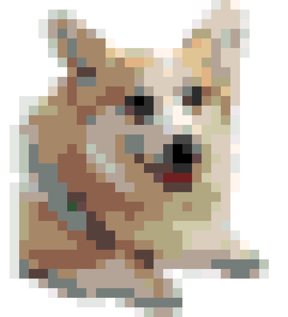 Rose fuse bead pattern