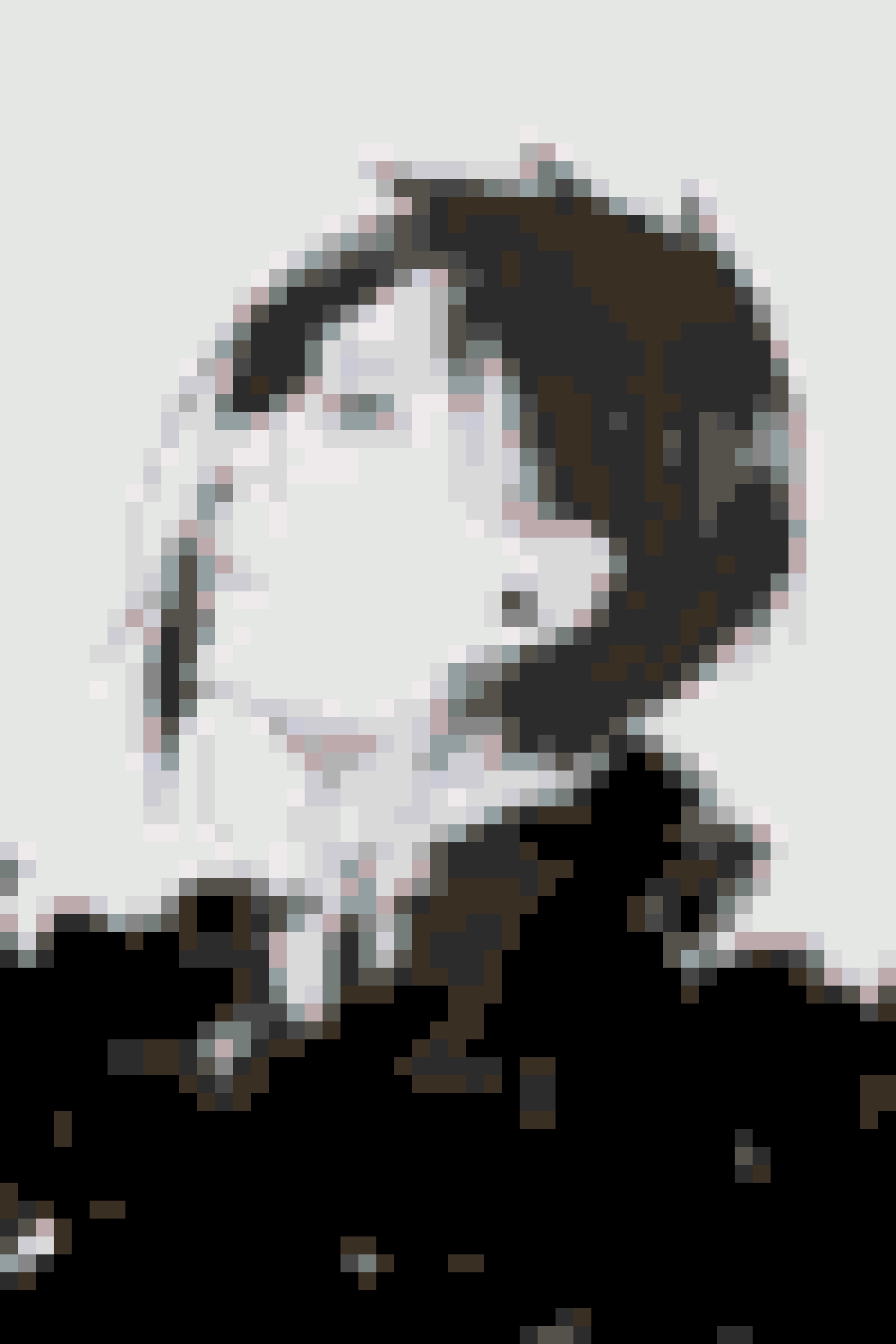 Sebastian 384 fuse bead pattern
