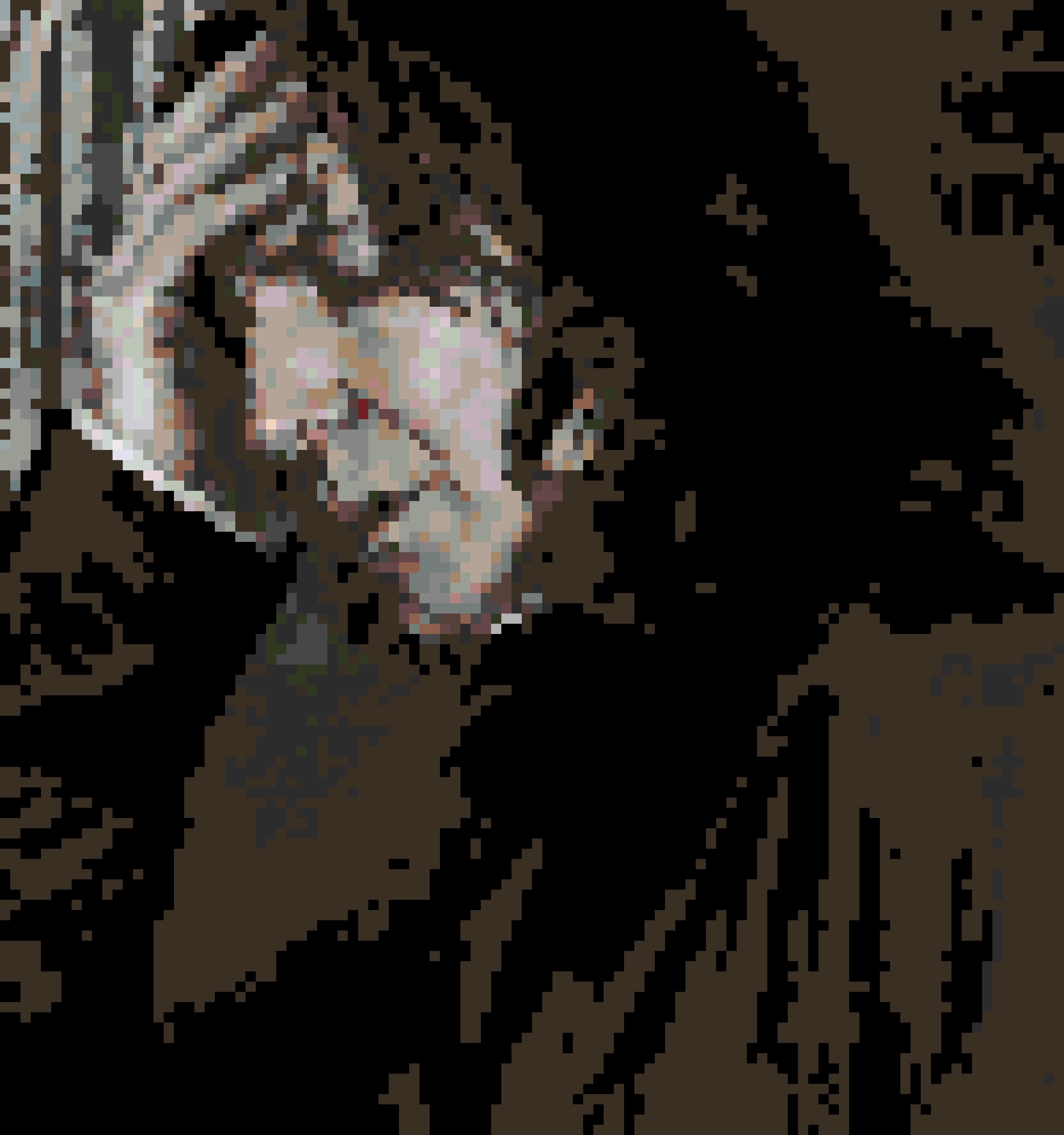 Snape fuse bead pattern