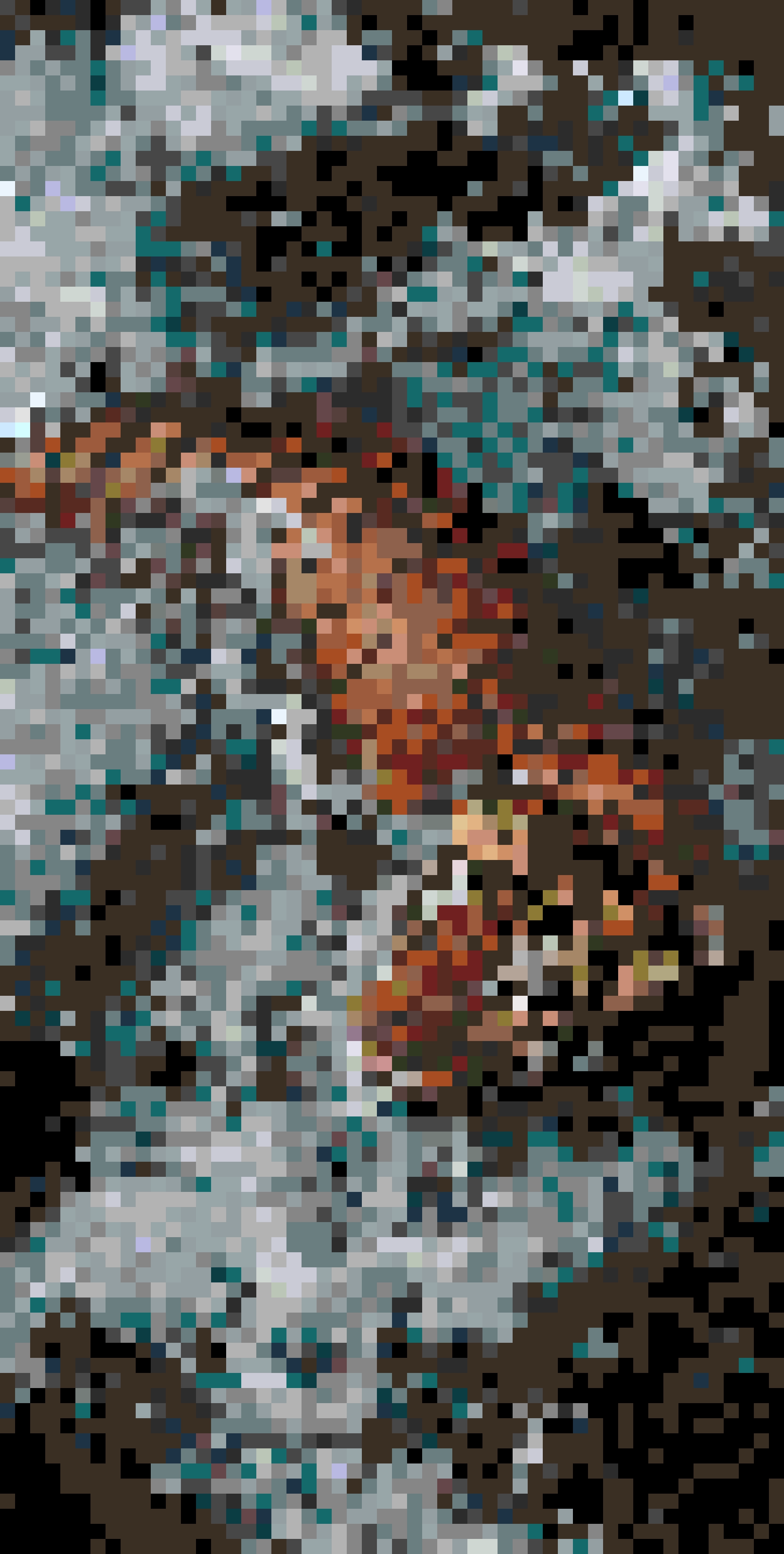 Tiger 2 fuse bead pattern