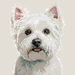 Westie Bügelperlen-Muster (Kostenlos Druckbar)