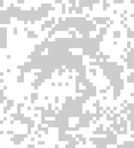 Xiaojiu Portrait Bügelperlen-Muster (Kostenlos Druckbar)