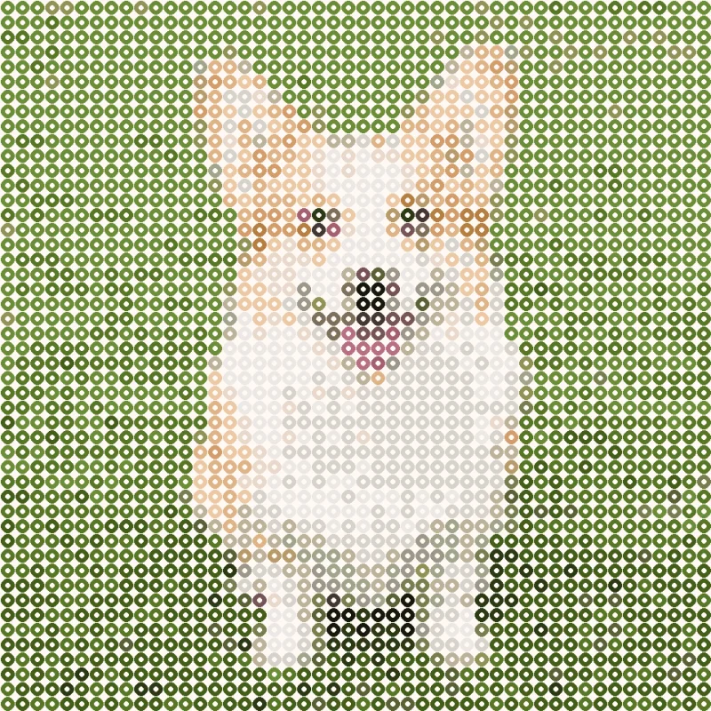 Fuse bead pattern of the corgi, 48 by 48 beads